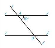 Trắc nghiệm toán 7 kết nối bài 10: Tiên đề Euclid. Tính chất của hai đường thẳng song song