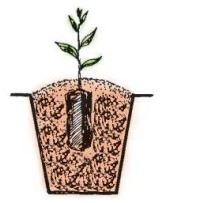 Trắc nghiệm công nghệ 7 kết nối bài 2: Làm đất trồng cây
