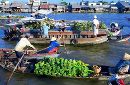 Trắc nghiệm tiếng việt 3 cánh diều Bài đọc 4 - Nhà Rông