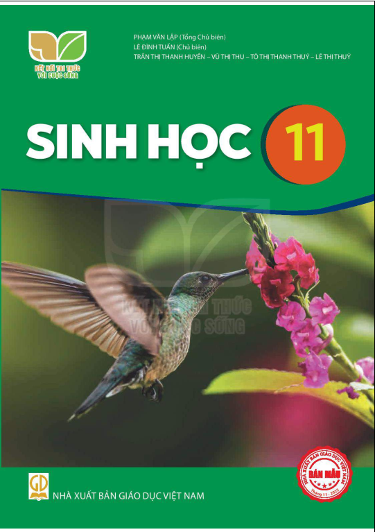 Tải PDF shs Sinh học 11 Kết nối tri thức