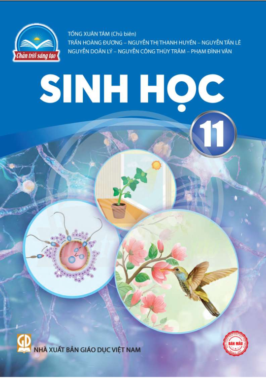 Tải PDF shs Sinh học 11 Chân trời sáng tạo