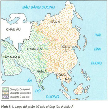 Trắc nghiệm địa lí 7 chân trời bài 6: Đặc điểm dân cư, xã hội châu Á