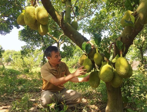 Trắc nghiệm tự nhiên và xã hội 3 cánh diều Bài 12: các bộ phận của thực vật và chức năng của chúng