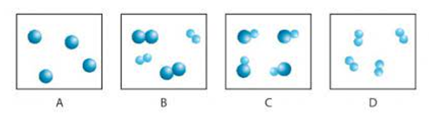 Trắc nghiệm hoá học 7 kết nối bài 5: Phân tử - Đơn chất - Hợp chất