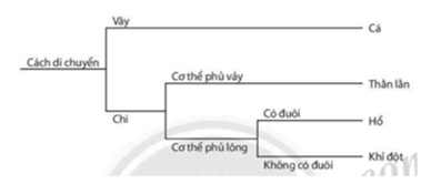 Trắc nghiệm bài 26: Khóa lưỡng phân