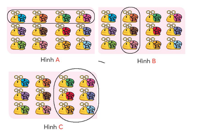 Trắc nghiệm Toán 3 Chân trời sáng tạo Chương 2: Bài 26 - Một phần hai, một phần ba, một phần tư, một phần năm