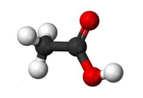 Trắc nghiệm hoá học 7 kết nối bài 5: Phân tử - Đơn chất - Hợp chất