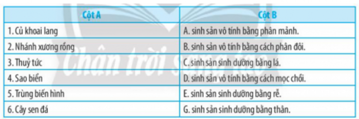 Trắc nghiệm sinh học 7 chân trời sáng tạo Bài 37: sinh sản ở sinh vật