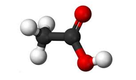 Trắc nghiệm hoá học 7 cánh diều Bài 4: phân tử, đơn chất, hợp chất