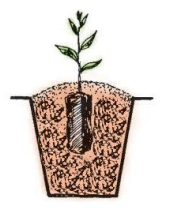 Trắc nghiệm công nghệ 7 kết nối bài 2: Làm đất trồng cây