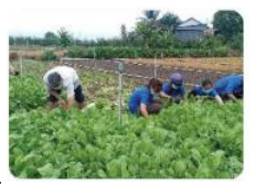 Trắc nghiệm công nghệ 7 kết nối bài 4: Thu hoạch sản phẩm trồng trọt
