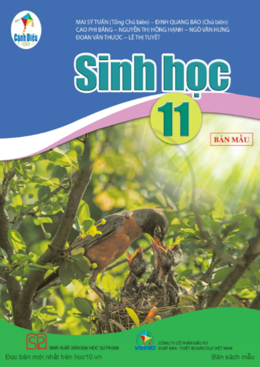 Tải PDF shs Sinh học 11 Cánh diều