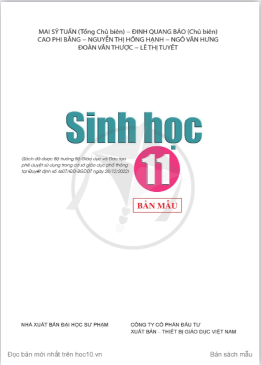 Tải PDF shs Sinh học 11 Cánh diều