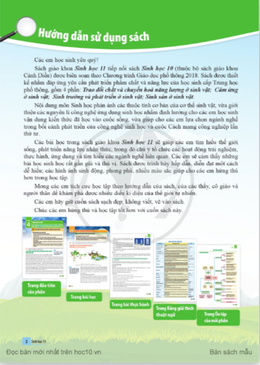 Tải PDF shs Sinh học 11 Cánh diều