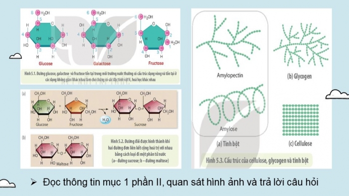 Giáo án điện tử sinh học 10 kết nối bài 5: Các phân tử sinh học