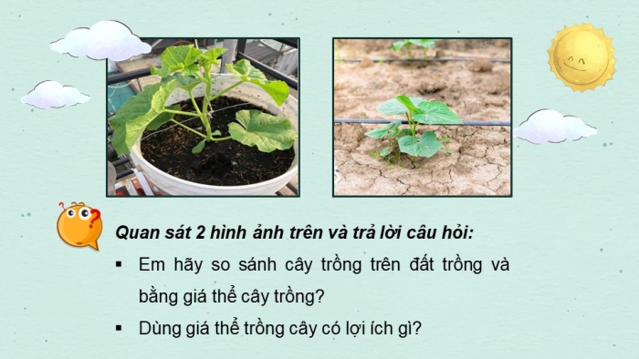 Giáo án điện tử công nghệ 10 – Trồng trọt kết nối bài 5: Giá thể cây trồng