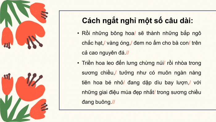 Giáo án điện tử Tiếng Việt 4 chân trời CĐ 3 Bài 8 Đọc: Những mùa hoa trên cao nguyên đá