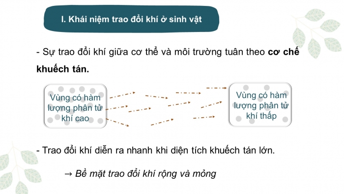 Giáo án điện tử KHTN 7 cánh diều – Phần sinh học  bài 23: Trao đổi khí ở sinh vật