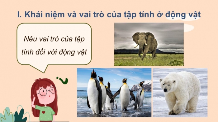 Giáo án điện tử KHTN 7 cánh diều – Phần sinh học bài 28. Tập tính ở động vật