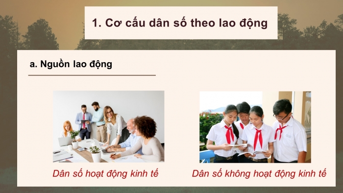 Giáo án điện tử địa lí 10 chân trời bài 20: Cơ cấu dân số