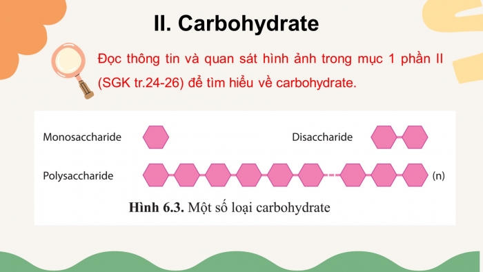 Giáo án điện tử sinh học 10 cánh diều bài 6: Các phân tử sinh học trong tế bào.