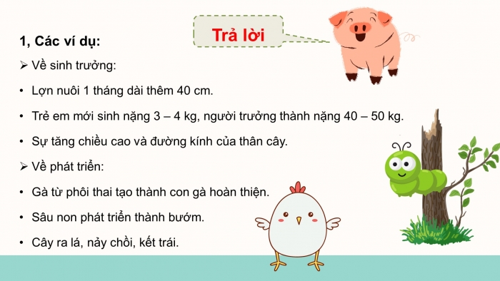 Giáo án điện tử KHTN 7 cánh diều – Phần sinh học bài 29: Khái quát về sinh trưởng và phát triển ở sinh vật