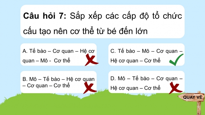 Giáo án điện tử KHTN 7 cánh diều – Phần sinh học bài: Bài tập (chủ để 9, 19, 11, 12)