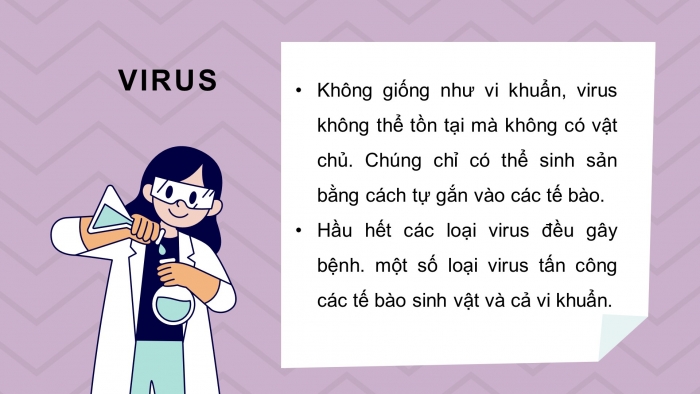 Giáo án điện tử sinh học 10 kết nối bài 26: Thực hành - Điều tra một số bệnh do virus & tuyên truyền phòng chống bệnh