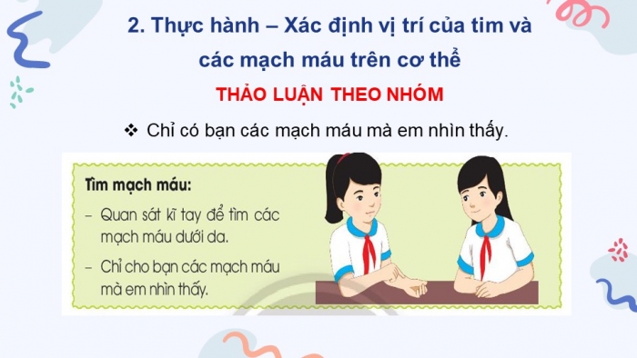 Giáo án điện tử bài 21: Cơ quan tuần hoàn