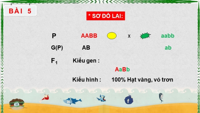 Giáo án điện tử sinh học 9 bài 5: Lai hai cặp tính trạng (tiếp theo)