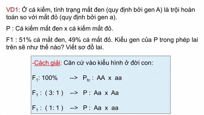 Giáo án điện tử sinh học 9 bài 7: Bài tập chương I