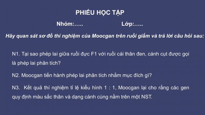 Giáo án điện tử sinh học 9 bài 13: Di truyền liên kết