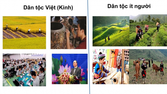 Giáo án điện tử địa lí 9 bài 1: Cộng đồng các dân tộc Việt Nam