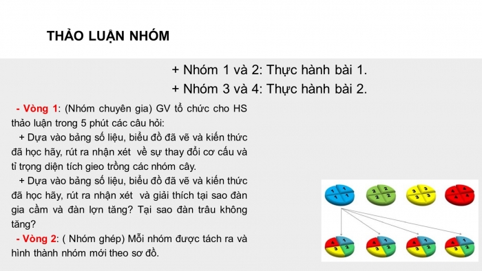 Giáo án điện tử địa lí 9 bài 10: Thực hành - Vẽ và phân tích biểu đồ về sự thay đổi cơ cấu diện tích gieo trồng phân theo các loại cây, sự tăng trưởng đàn gia súc, gia cầm