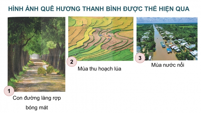 Giáo án điện tử Mĩ thuật 4 kết nối Chủ đề 8: Quê hương thanh bình