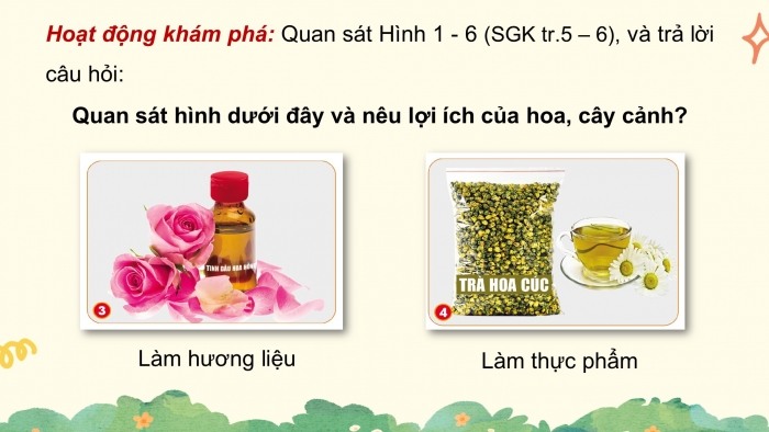 Giáo án điện tử Công nghệ 4 cánh diều Bài 1: Lợi ích của hoa và cây cảnh