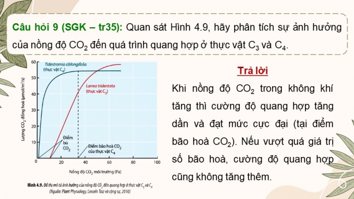 Giáo án điện tử Sinh học 11 chân trời Bài 4: Quang hợp ở thực vật (P2)