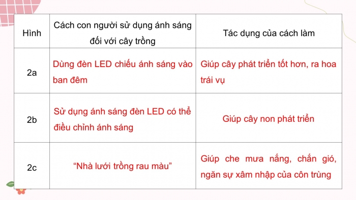 Giáo án điện tử Khoa học 4 kết nối Bài 9: Vai trò của ánh sáng