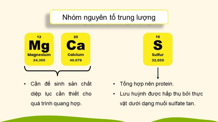 Giáo án điện tử KHTN 8 kết nối Bài 12: Phân bón hoá học