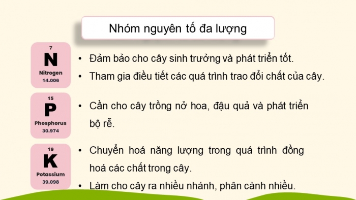 Giáo án điện tử KHTN 8 cánh diều Bài 13: Phân bón hoá học