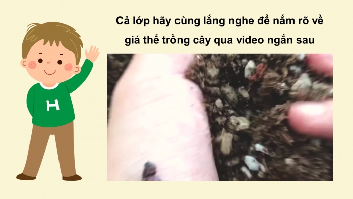 Giáo án điện tử Công nghệ 4 cánh diều Bài 5: Gieo hạt và trồng cây con trong chậu