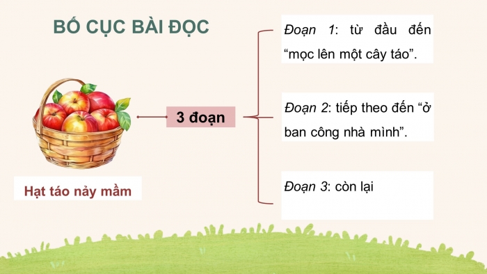Giáo án điện tử Tiếng Việt 4 chân trời CĐ 4 Bài 4 Đọc: Hạt táo đã nảy mầm