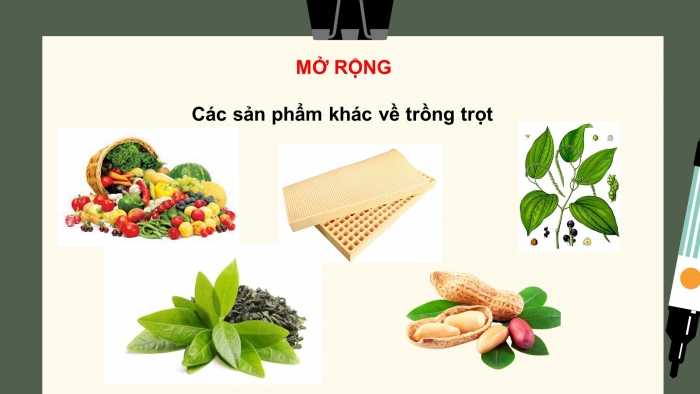 Giáo án điện tử bài 1: Nghề trồng trọt ở Việt Nam