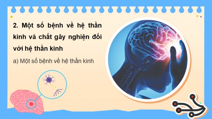 Giáo án điện tử KHTN 8 kết nối Bài 37: Hệ thần kinh và các giác quan ở người