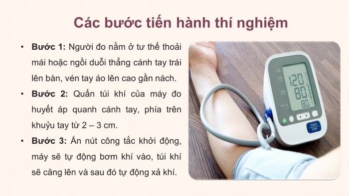 Giáo án điện tử Sinh học 11 chân trời Bài 11: Thực hành: Tìm hiểu hoạt động của hệ tuần hoàn