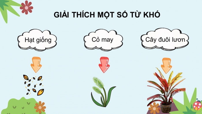 Giáo án điện tử bài 4: Hoa cỏ sân trường