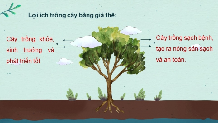 Giáo án điện tử công nghệ 10 – Trồng trọt kết nối bài 5: Giá thể cây trồng