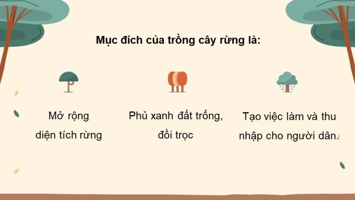 Giáo án điện tử công nghệ 7 cánh diều bài 5: Trồng cây rừng