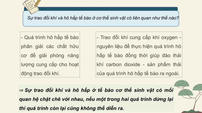 Giáo án điện tử KHTN 7 cánh diều – Phần sinh học  bài 23: Trao đổi khí ở sinh vật