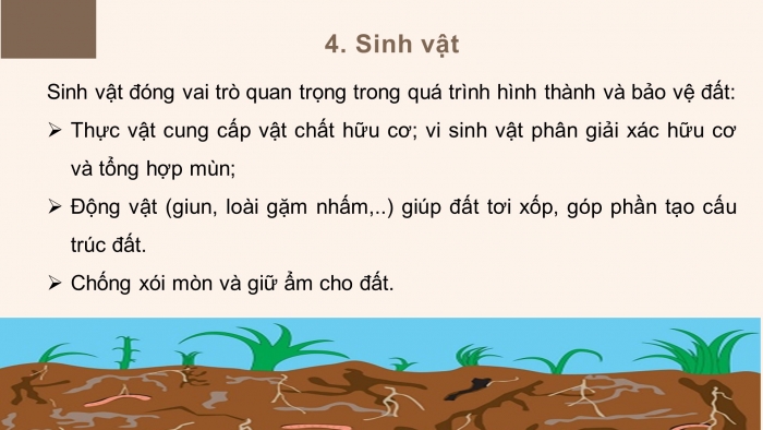 Giáo án điện tử địa lí 10 chân trời bài 14: Đất